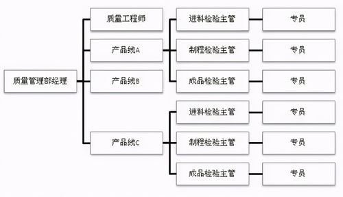 超棒企業(yè)質量組織架構圖，員工如何定位自己的位置